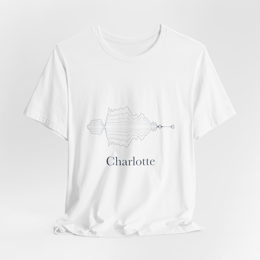 hrtz — Charlotte