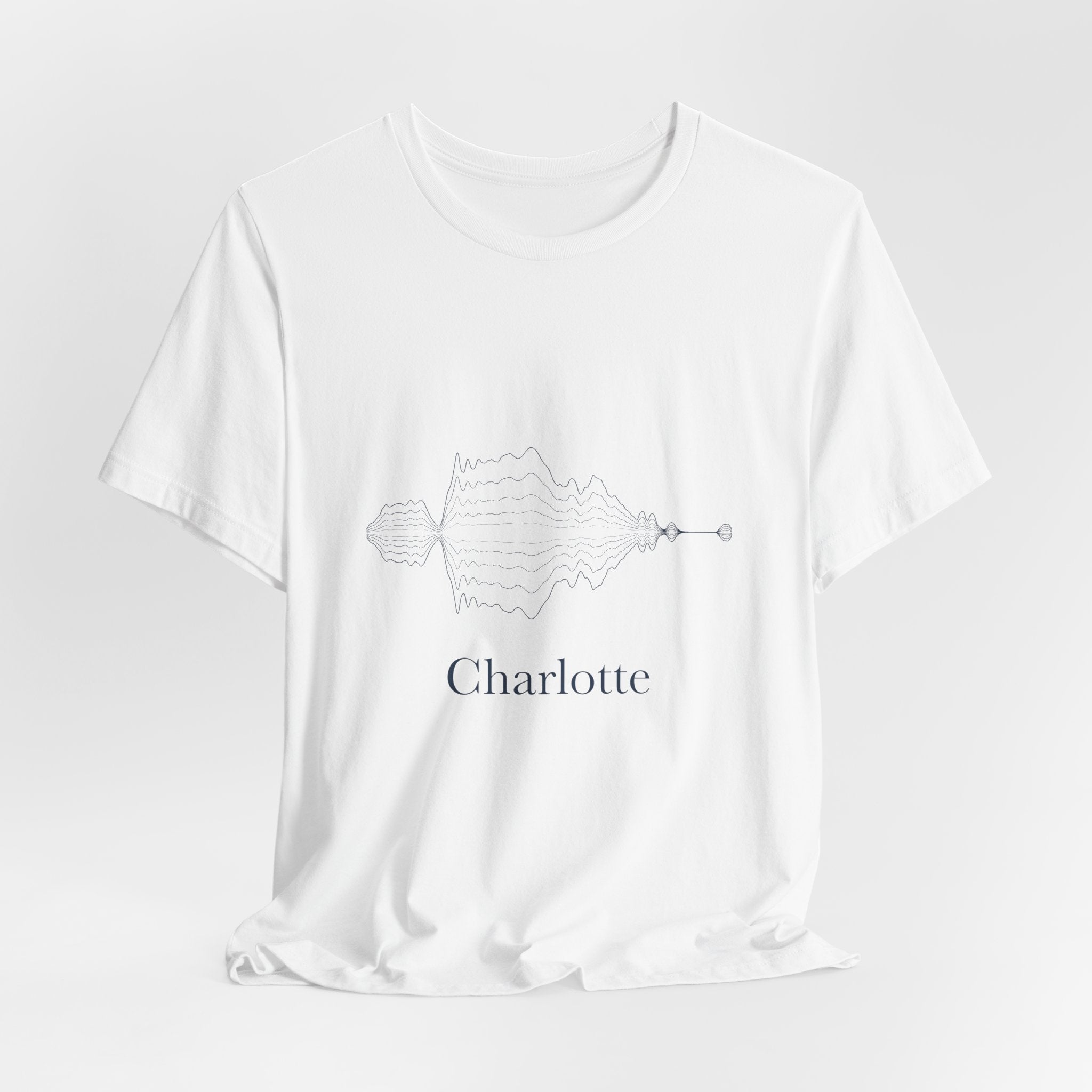 hrtz — Charlotte